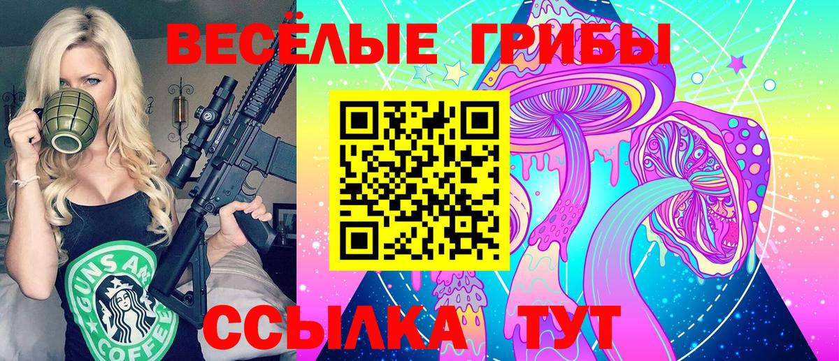 Галлюциногенные грибы Psilocybe Коломна